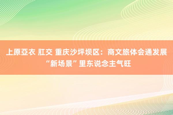 上原亞衣 肛交 重庆沙坪坝区：商文旅体会通发展 “新场景”里东说念主气旺