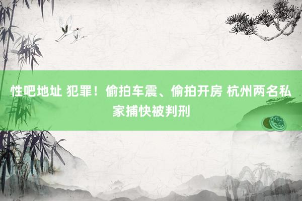 性吧地址 犯罪！偷拍车震、偷拍开房 杭州两名私家捕快被判刑