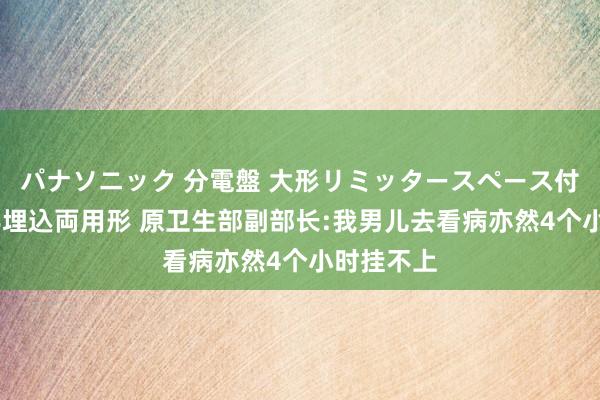 パナソニック 分電盤 大形リミッタースペース付 露出・半埋込両用形 原卫生部副部长:我男儿去看病亦然4个小时挂不上