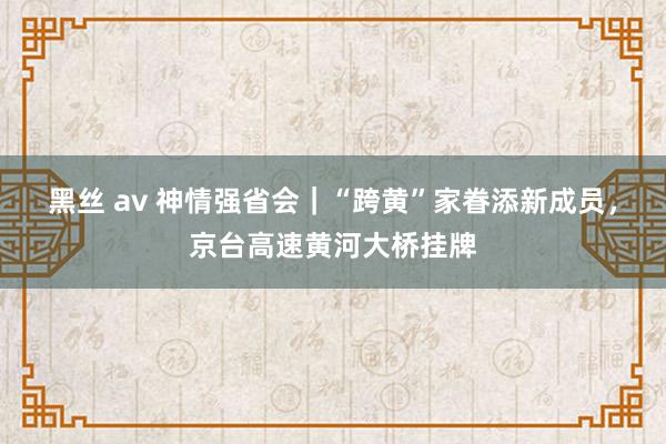 黑丝 av 神情强省会｜“跨黄”家眷添新成员，京台高速黄河大桥挂牌